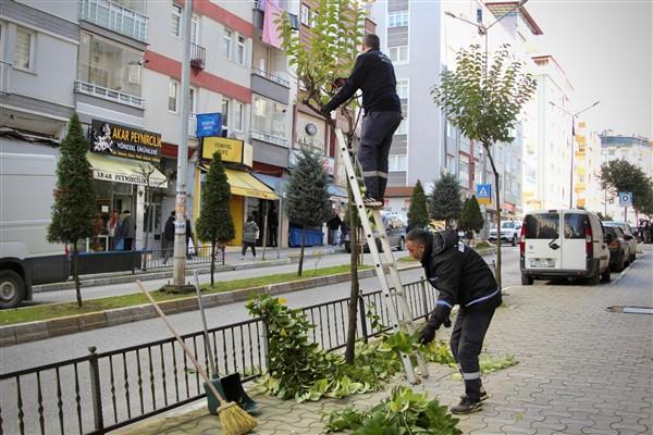 Giresun Belediyesi, şehir genelinde park ve yeşil alan bakım, budama