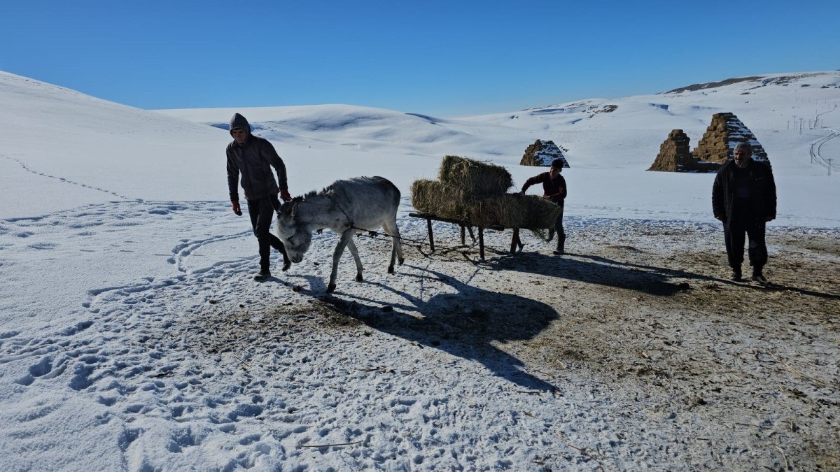 Süphan Dağı Eteklerinde Kış Zorlukları ve Hayvancılık Mücadelesi