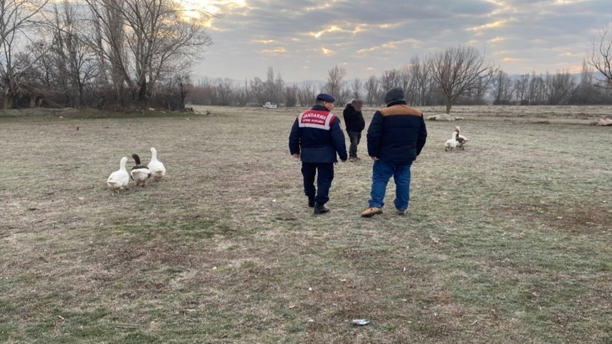 Çorum'da düzenlenen operasyonlarla kumar ve kaz dövüşlerine karşı etkili mücadeleler