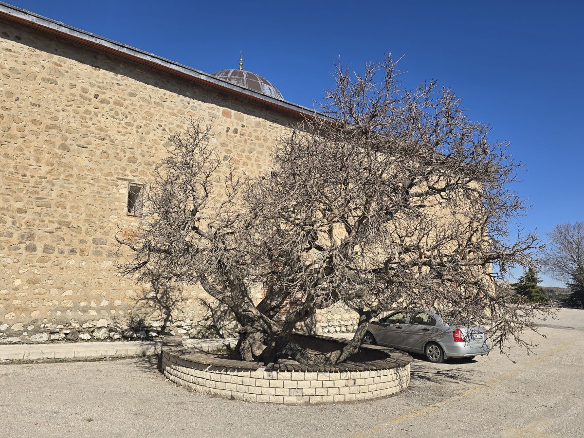 Elazığ'ın Tarihi Harput Mahallesi ve Efsaneleri