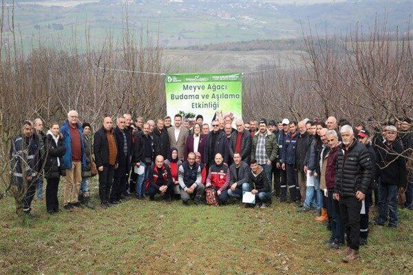 İzmit Belediyesi Kırsal Hizmetler Müdürlüğü meyve yetiştiricilerine yönelik Meyve Ağacı