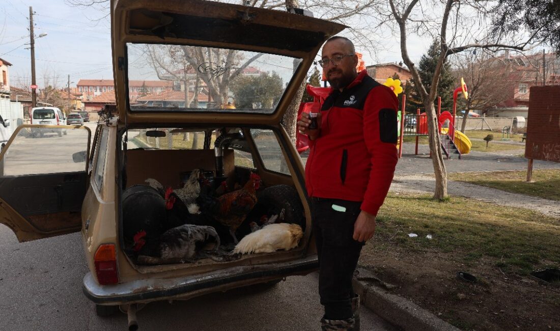 Konya'da tavuk taşıma yöntemleri üzerine keşfedilmemiş bir hikaye sizi bekliyor.