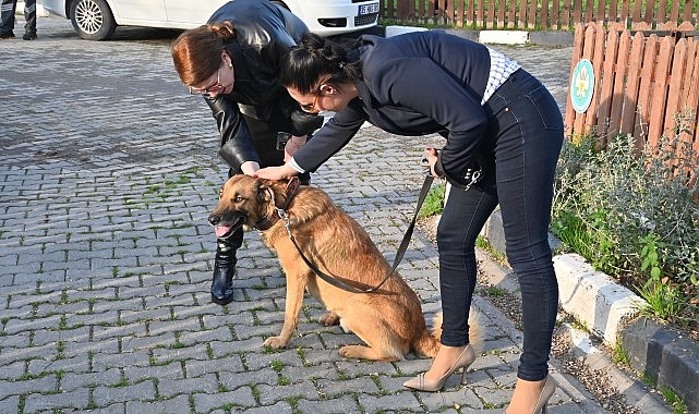 Manisa Büyükşehir Belediyesi, hayvanların refahını ön planda tutarak şefkat dolu