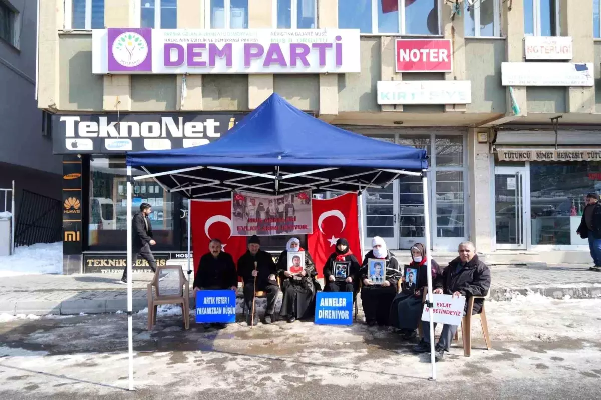 Çocukları PKK tarafından kaçırılan aileler, Muş'ta DEM Parti önünde evlat