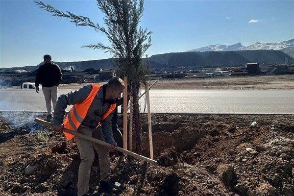 Şırnak Belediyesi Park ve Bahçeler Müdürlüğü, şehirdeki yeşil alanların artırılması