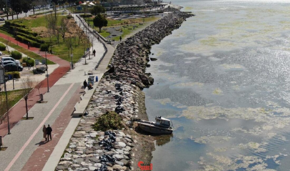 Karşıyaka'ya bağlı Bostanlı kıyısı kıyıları, atık ve kirli su nedeniyle