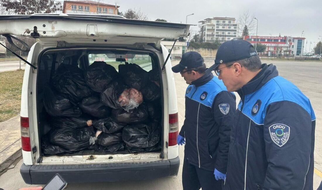 Bir ihbarı değerlendiren Ordu Büyükşehir Belediyesi Zabıta ekipleri Siirt plakalı